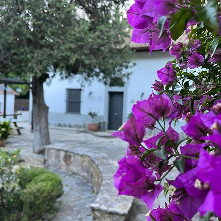 Complejo Rural Huerta Grande Konuk evi Algeciras Dış mekan fotoğraf