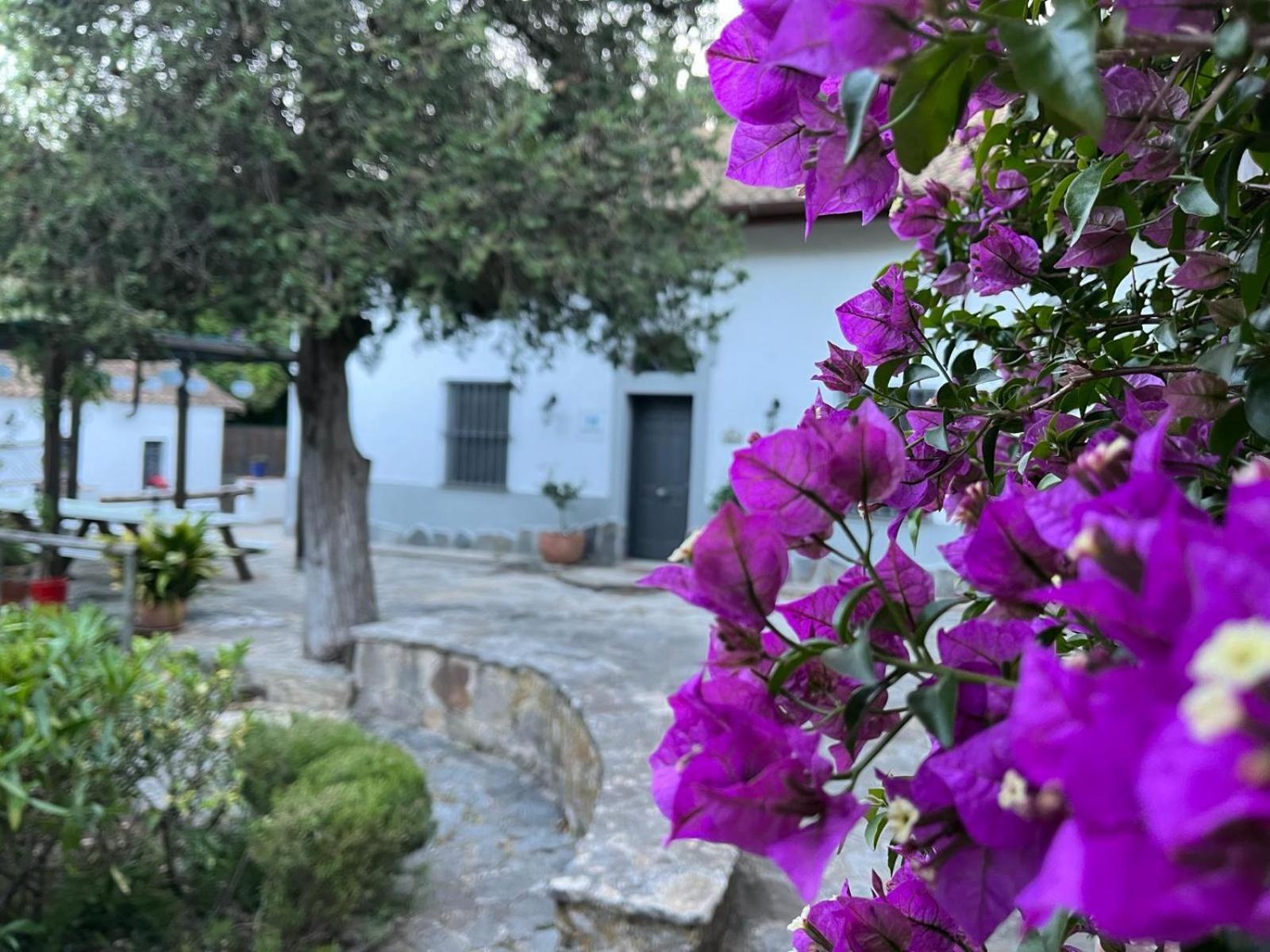 Complejo Rural Huerta Grande Konuk evi Algeciras Dış mekan fotoğraf