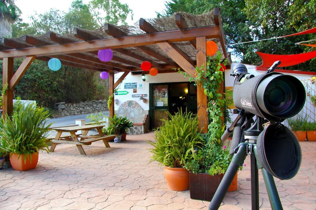 Complejo Rural Huerta Grande Konuk evi Algeciras Dış mekan fotoğraf